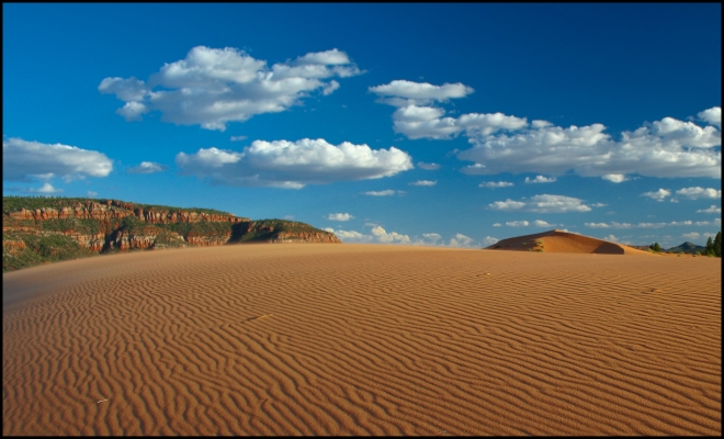 Coral Pink Sand Dunes State Park, Utah - USA